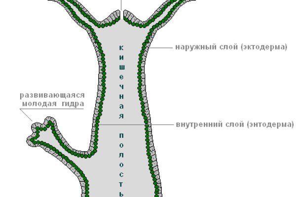Solaris даркнет