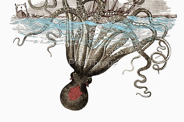 Кракен krakens13 at