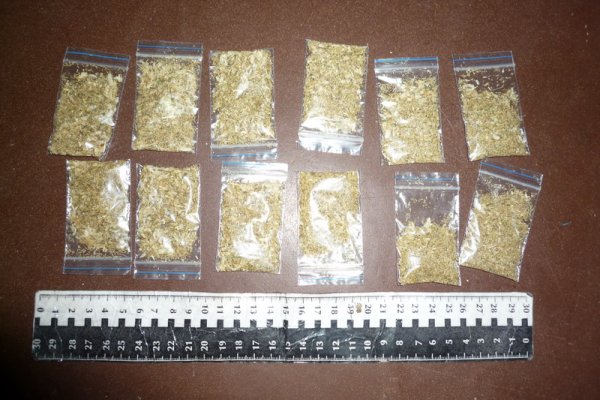 Mega darknet ссылка