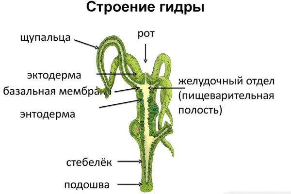 Замена гидры