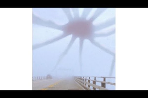 Kraken домен
